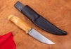 Нож "Барбус" 31-2
