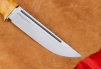 Нож "Барбус" 309.6